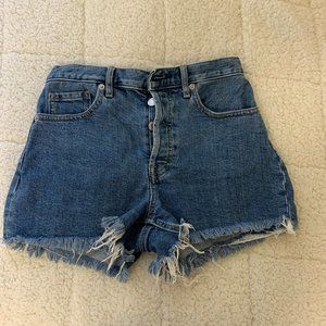 Everlane Cheeky Denim Shorts